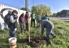 El nuevo Plan de Arbolado incluye el compromiso y la colaboración de los vecinos