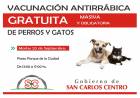 Vacunación gratuita para perros y gatos en San Carlos Centro