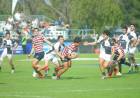Rugby, en Sauce Viejo se define el campeón del Regional del Litoral