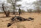 Calor mortal en Africa Occidental por el cambio climático