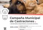 La Municipalidad sigue adelante con la Campaña de Castraciones