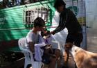El programa IMUSA en tu Barrio superó las 900 castraciones y sus atenciones van en aumento