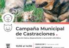 La campaña de castraciones continúa atendiendo con dos puestos móviles en Santo Tomé