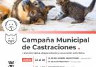 La Campaña Municipal de Castraciones sigue atendiendo en distintos puntos de la ciudad