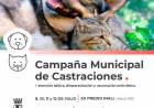 La Campaña Municipal de Castraciones sigue atendiendo en distintos puntos de la ciudad