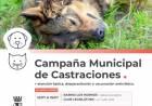 La Campaña Municipal de Castraciones sigue recorriendo la ciudad