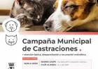La Campaña de Castraciones continuará atendiendo en el Barrio Zaspe y el Club Alianza