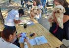 La Municipalidad de Santo Tomé llevó a cabo otra jornada exitosa de vacunación antirrábica gratuita