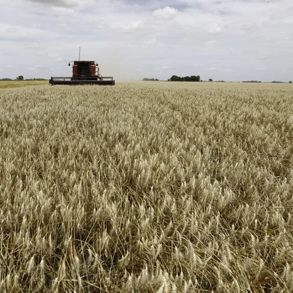 La Federación Agraria Argentina celebró la baja de las retenciones: "Es una buena señal"