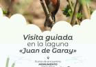 Se realizará una visita guiada por el Día Mundial de las Aves Migratorias
