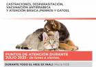 Atención Veterinaria Móvil: continuidad del servicio gratuito en julio