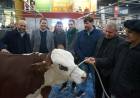 Santa Fe mostrará su potencia productiva, tecnológica y gastronómica en la Expo Rural de Palermo