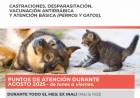 Municipalidad de Santo Tomé informa el cronograma de atención de las Unidades Veterinarias Municipales para el mes de agosto