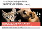 Atención veterinaria móvil: Cronograma para el mes de septiembre