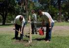 Campaña de forestación: el intendente Poletti plantó el árbol número 5000 del año