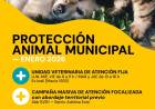 Protección Animal Municipal: cronograma de atención para enero de 2026