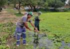 Se intensifica la limpieza y el mantenimiento del lago del Parque del Sur previo al fin de semana largo