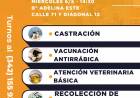 La Muni en tu barrio llega a barrio Adelina Este
