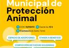 La Municipalidad realizará la 3.ª edición de la Feria Municipal de Protección Animal
