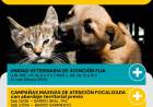 Protección Animal Municipal: servicios, campañas y canales de denuncia para junio