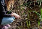 Suelta de tortugas y visitas guiadas a la Reserva Ecológica UNL