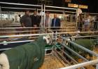 Santa Fe llevó a La Rural su modelo de desarrollo productivo y renovó su compromiso con el campo