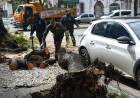 Luego de la tormenta, la Municipalidad atiende incidencias en toda la ciudad