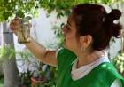 La Municipalidad refuerza el descacharrado en barrios con riesgo hídrico para prevenir el dengue