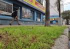 Habilitan a comercios a utilizar la cinta verde para colocar cartelería