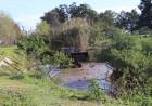 Fenómeno de El Niño: comenzaron los trabajos de limpieza y desmalezamiento en el canal de desagüe pluvial del Túnel Subfluvial