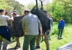 Rescatan a un aguará guazú en Rosario y activan el protocolo de protección de especies amenazadas