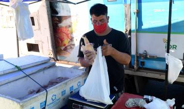 Durante marzo y abril continúa la venta de pescado de mar a precios populares en ferias de la ciudad