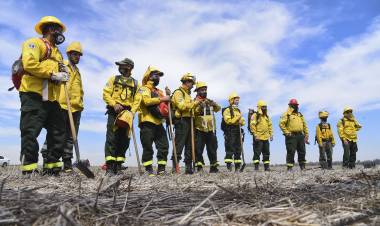Lewandowski presentó un proyecto para reconocer a los brigadistas que integran el Sistema Federal del Manejo del Fuego