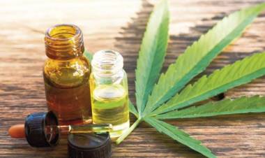 Audiencia pública pedida por las madres de Macame en la Corte Suprema