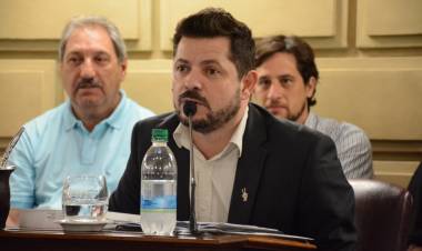 Castelló pidió en el senado la creación del Museo de las Mujeres