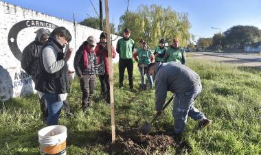 El nuevo Plan de Arbolado incluye el compromiso y la colaboración de los vecinos