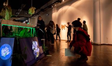 Agenda para disfrutar en las salas y al aire libre