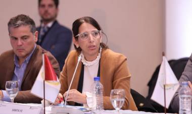 La provincia participó de la primera reunión del Consejo Federal de Relaciones Exteriores y Comercio Internacional