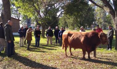 La provincia llevó adelante junto al INTA una jornada informativa sobre estrategias para el control de la garrapata bovina