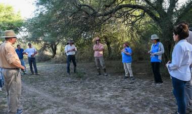 La provincia llevó adelante una capacitación sobre el manejo de bosques nativos y ganadería sostenible