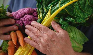 Taller de Alimentación para la prevención de la diabetes y la hipertensión