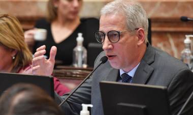Solicitan que el Senado de la Nación declare la Emergencia en Seguridad de Santa Fe