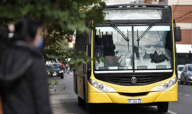 Servicios municipales previstos para el lunes feriado