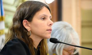 Mahmud: “Estamos atravesando una crisis educativa sin precedentes en Santa Fe”