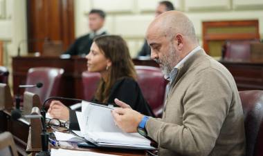 Ajuste en discapacidad: Palo Oliver solicita que la Cámara de Diputadas y Diputados se expida al respecto