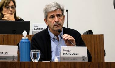 Desde el Concejo solicitan convocar al Consejo Municipal de Seguridad