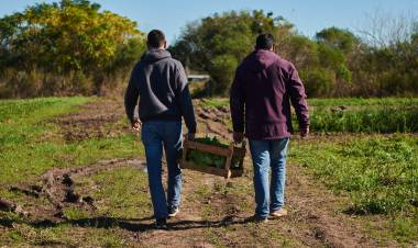   La provincia abrió la inscripción para el Programa Módulos Productivos de la Agricultura Familiar 