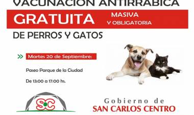 Vacunación gratuita para perros y gatos en San Carlos Centro