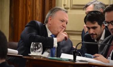 El Senado otorgó media sanción al proyecto de ley de “Ficha Limpia” presentado por Felipe Michlig