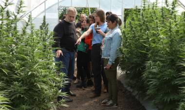 La provincia avanza en políticas públicas integrales en materia de Cannabis Medicinal